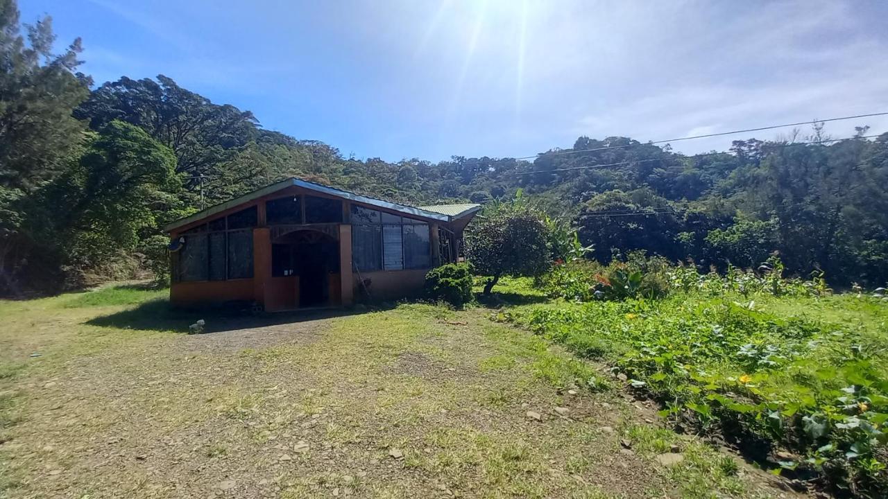 ホテル Finca Pantera Monteverde エクステリア 写真