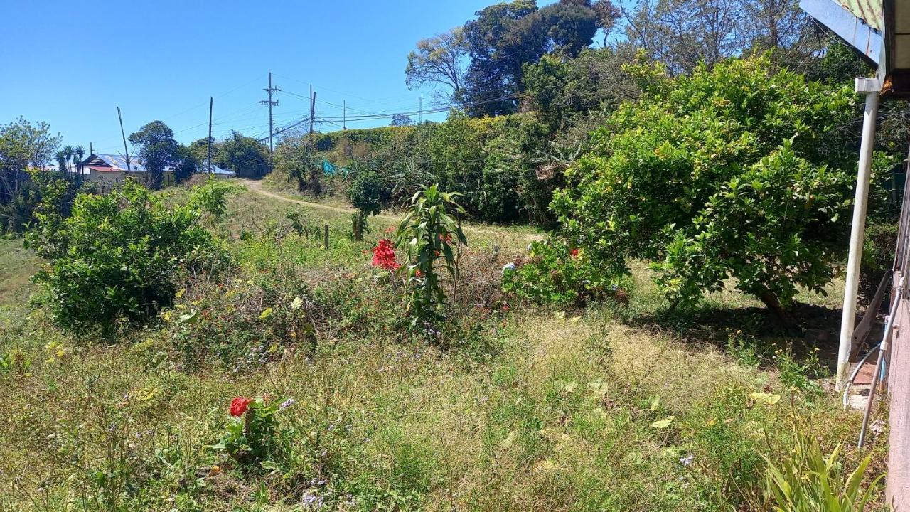ホテル Finca Pantera Monteverde エクステリア 写真