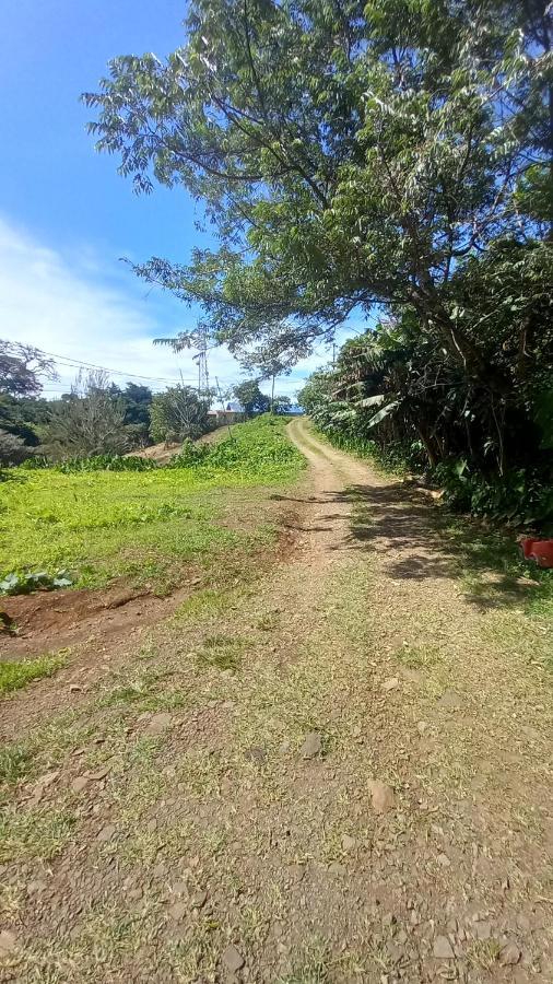 ホテル Finca Pantera Monteverde エクステリア 写真