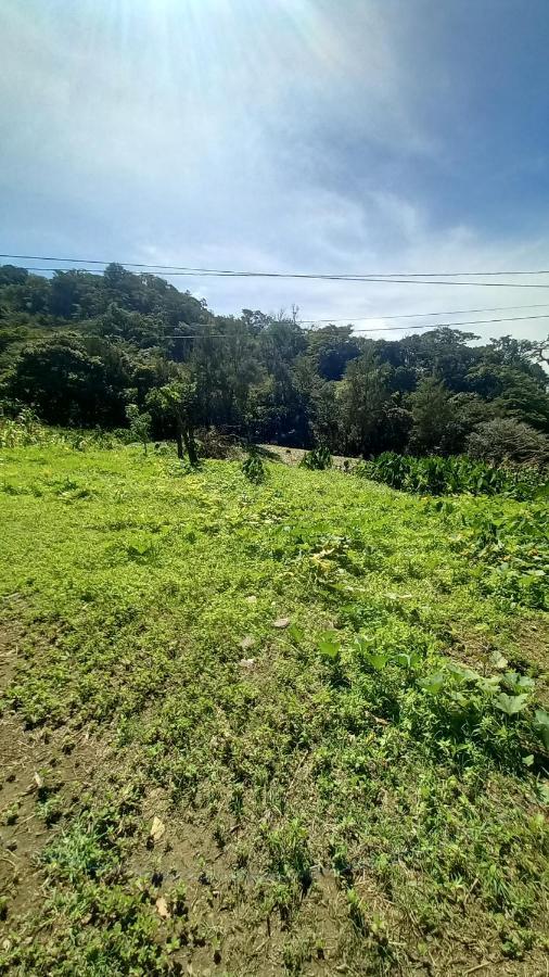 ホテル Finca Pantera Monteverde エクステリア 写真