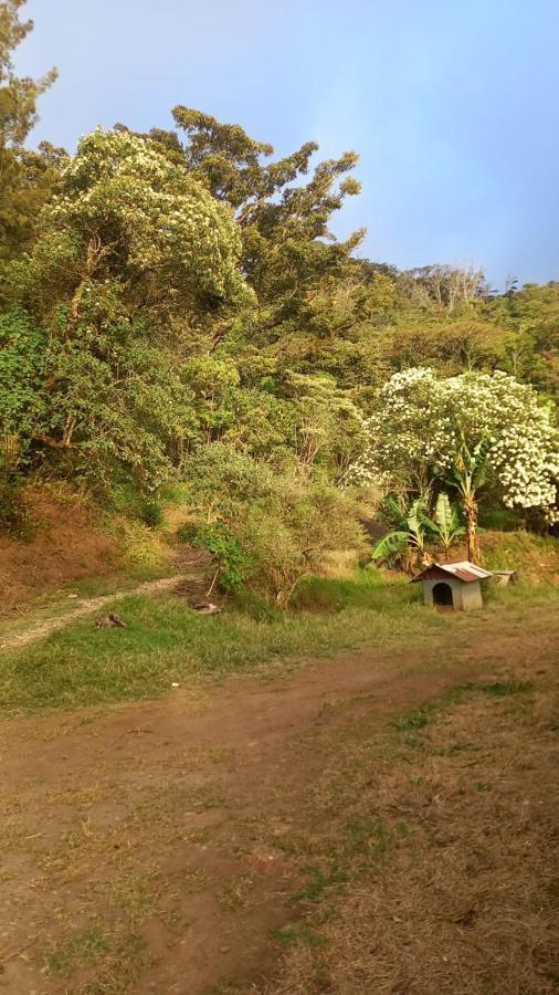 ホテル Finca Pantera Monteverde エクステリア 写真