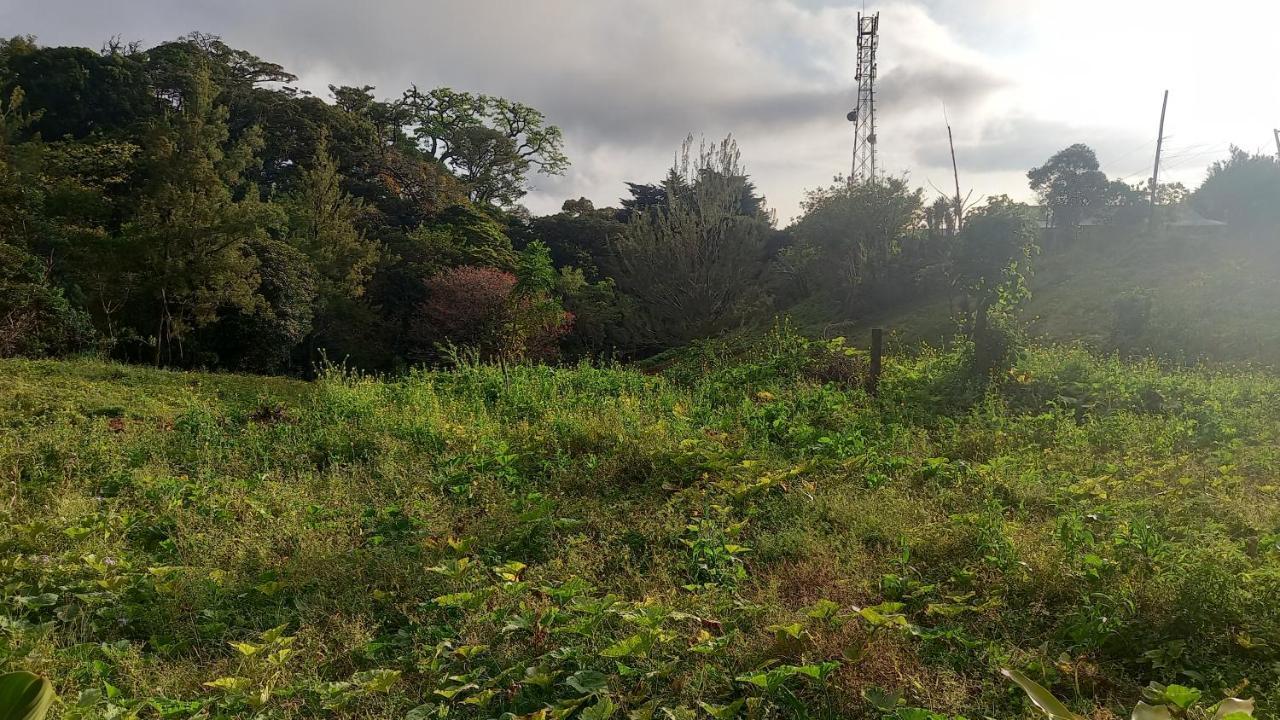 ホテル Finca Pantera Monteverde エクステリア 写真