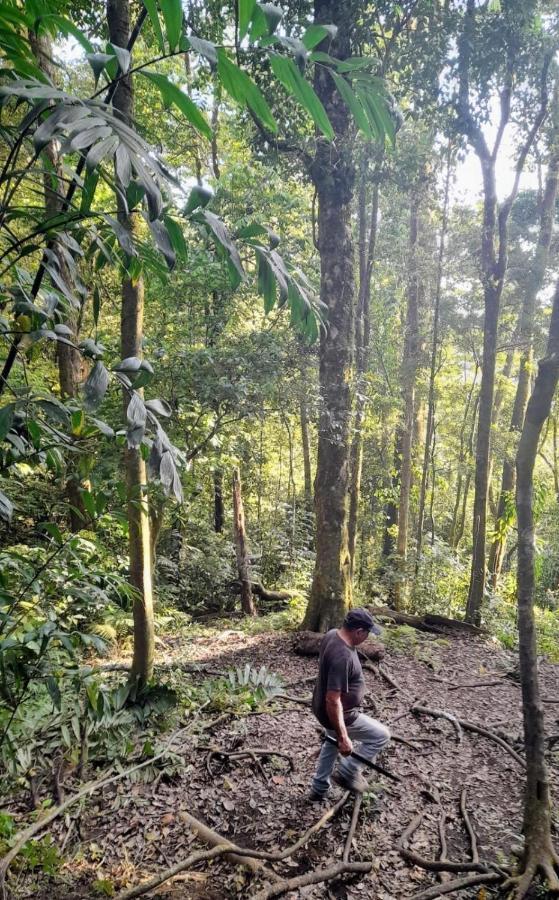 ホテル Finca Pantera Monteverde エクステリア 写真