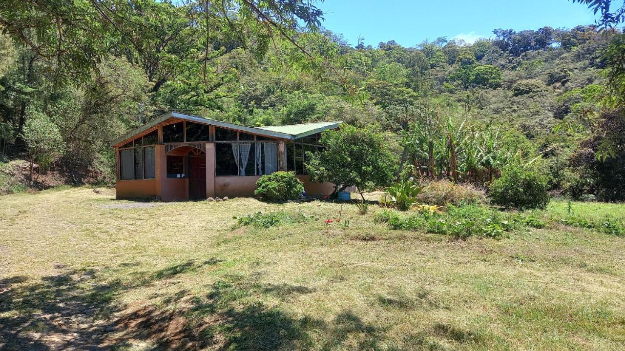 ホテル Finca Pantera Monteverde エクステリア 写真